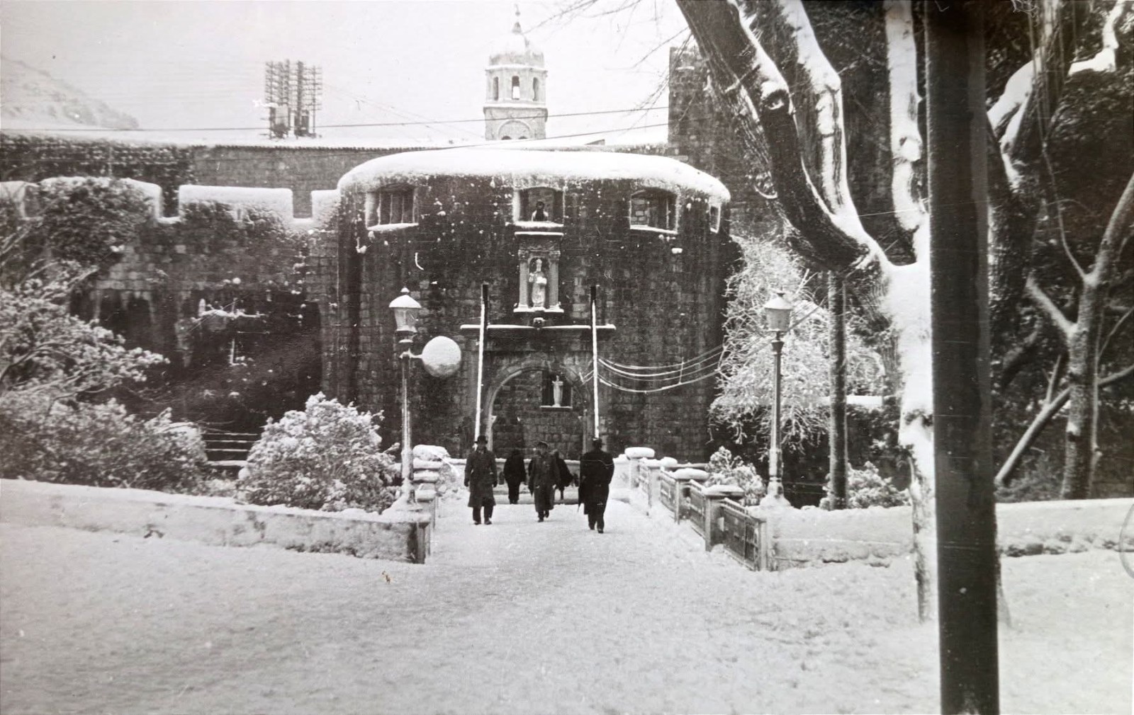 WhatsApp Image 2026-01-13 at 11.11.13.jpeg